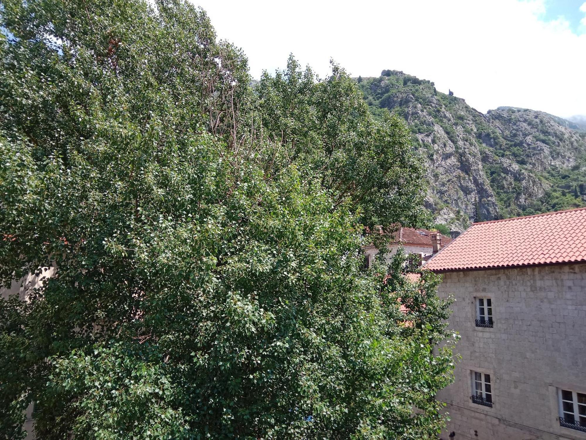 Centar Starog Grada Kotor Exterior foto