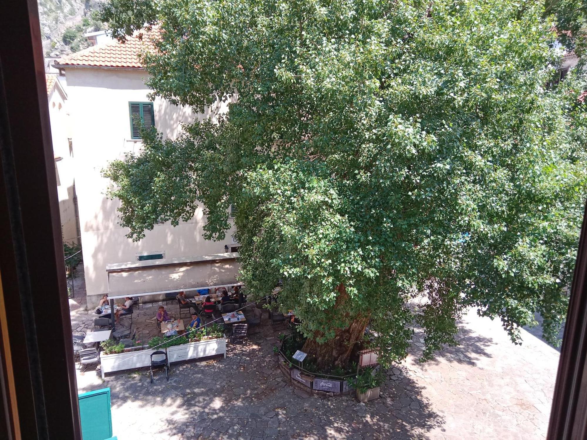 Centar Starog Grada Kotor Exterior foto